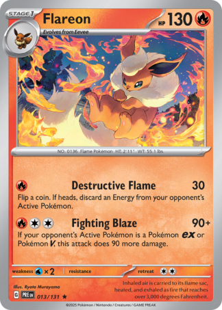 Flareon 13 / 131