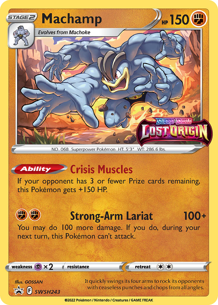 Machamp SWSH243 / 307
