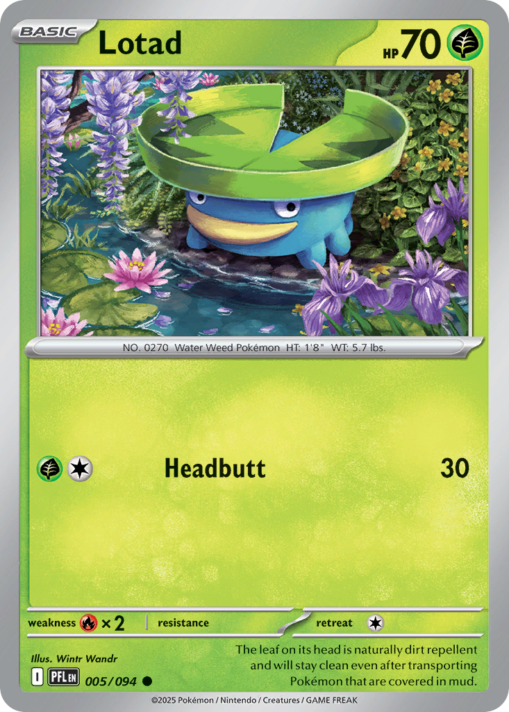 Lotad 5 / 94