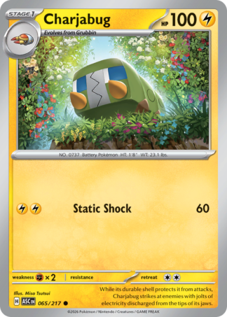 Charjabug 65 / 217