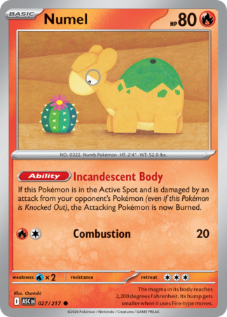 Numel 27 / 217