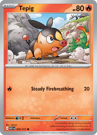 Tepig 29 / 217