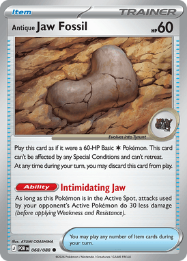 Antique Jaw Fossil 68 / 88