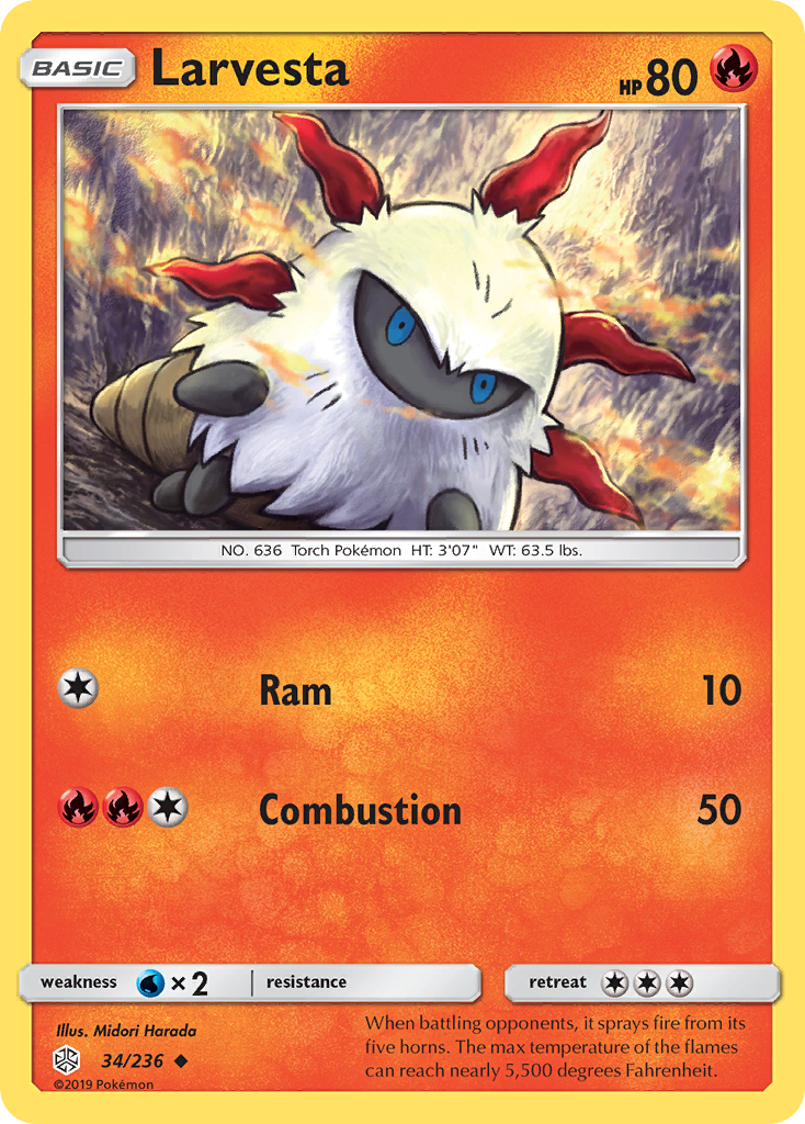Larvesta 34 / 236