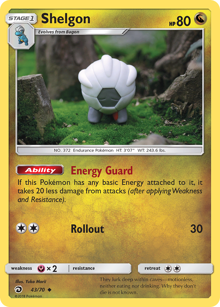 Shelgon 43 / 70