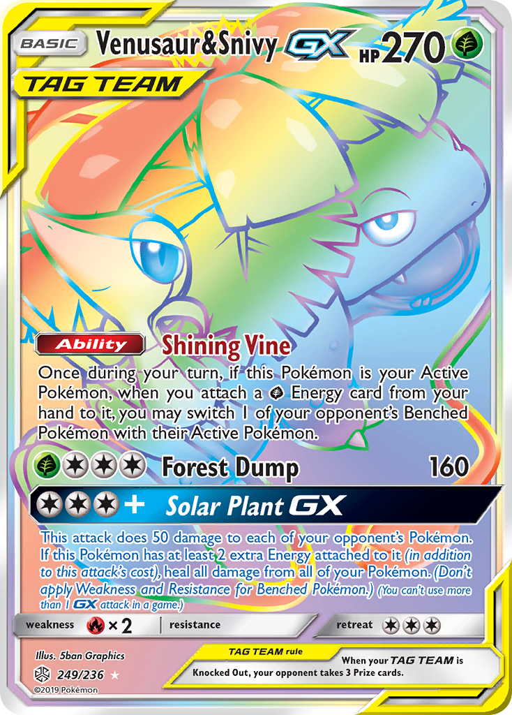 Venusaur & Snivy-GX 249 / 236