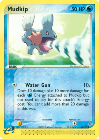 Mudkip 65 / 97