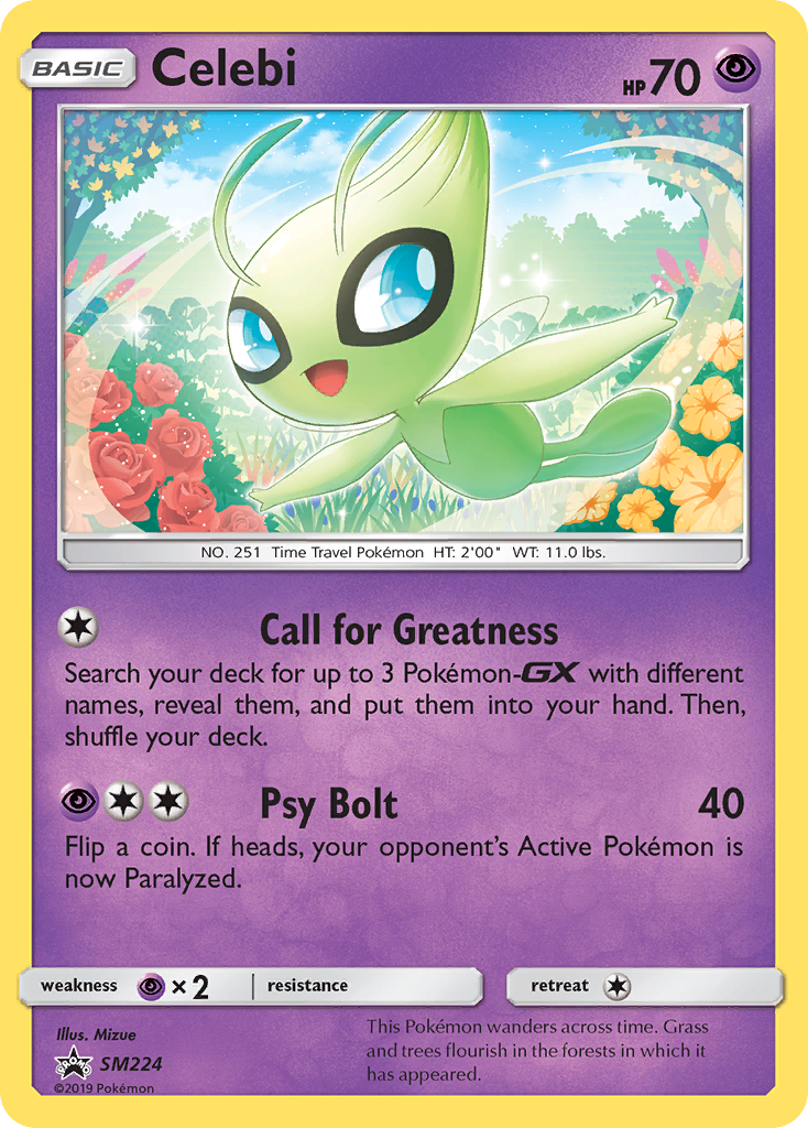 Celebi SM224 / 248