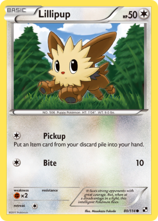 Lillipup 80 / 114
