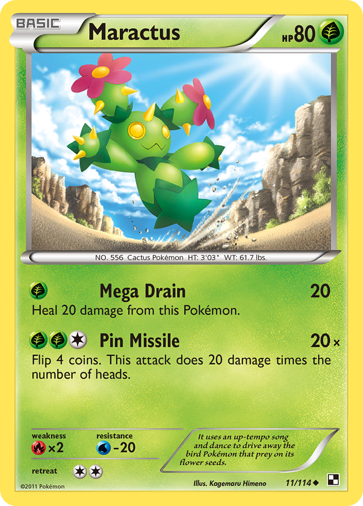 Maractus 11 / 114