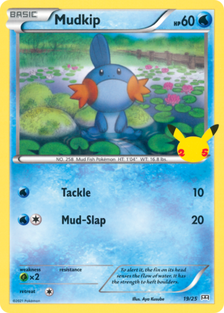 Mudkip 19 / 25