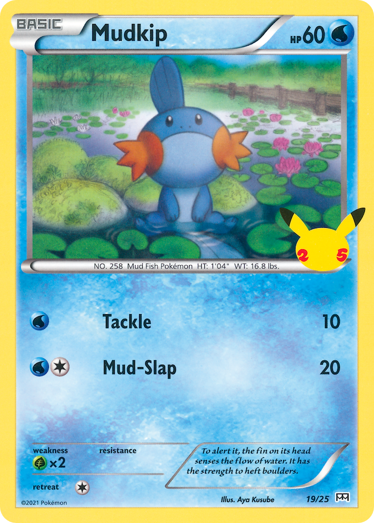Mudkip 19 / 25