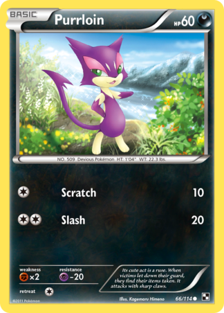 Purrloin 66 / 114