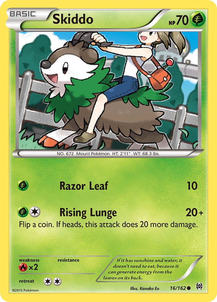 Skiddo 16 / 162